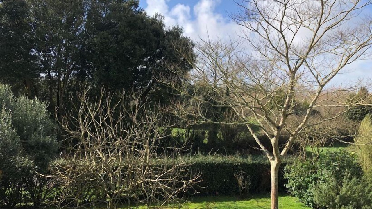 Photo of Outdoor in Kervoyal