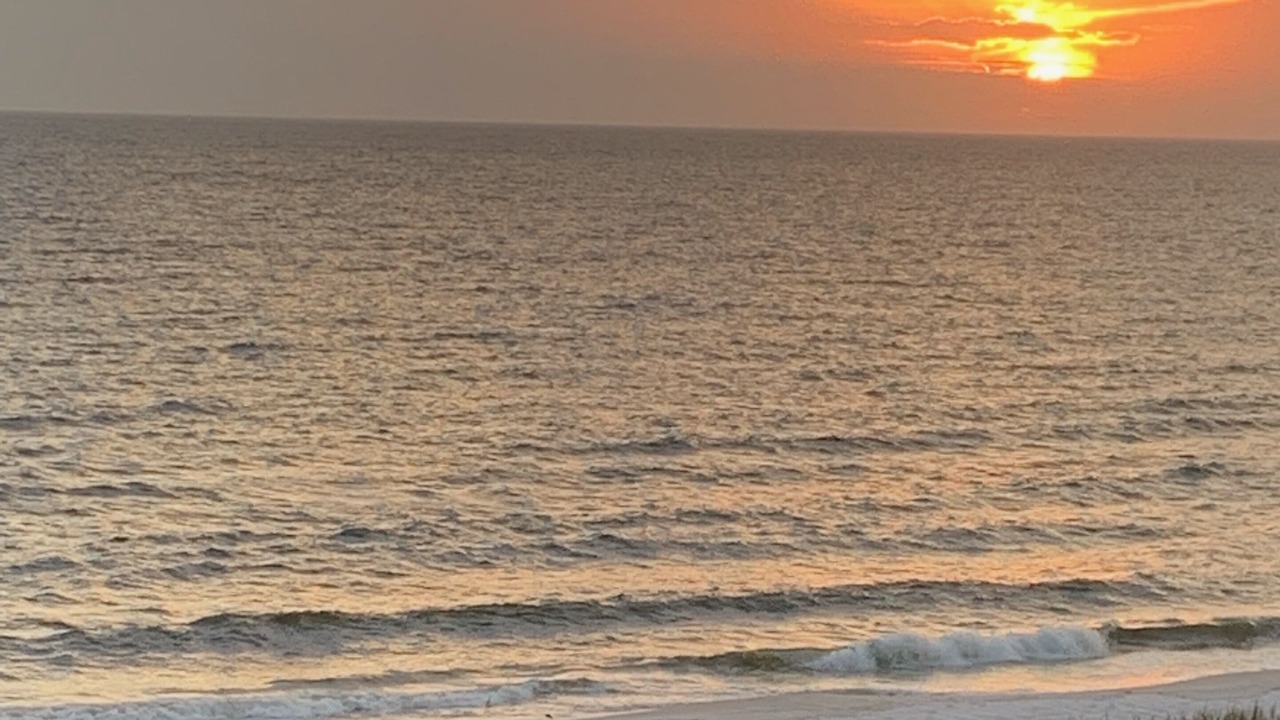 Photo of Others in Mexico Beach