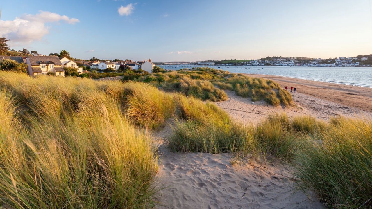 Photo of Others in Instow