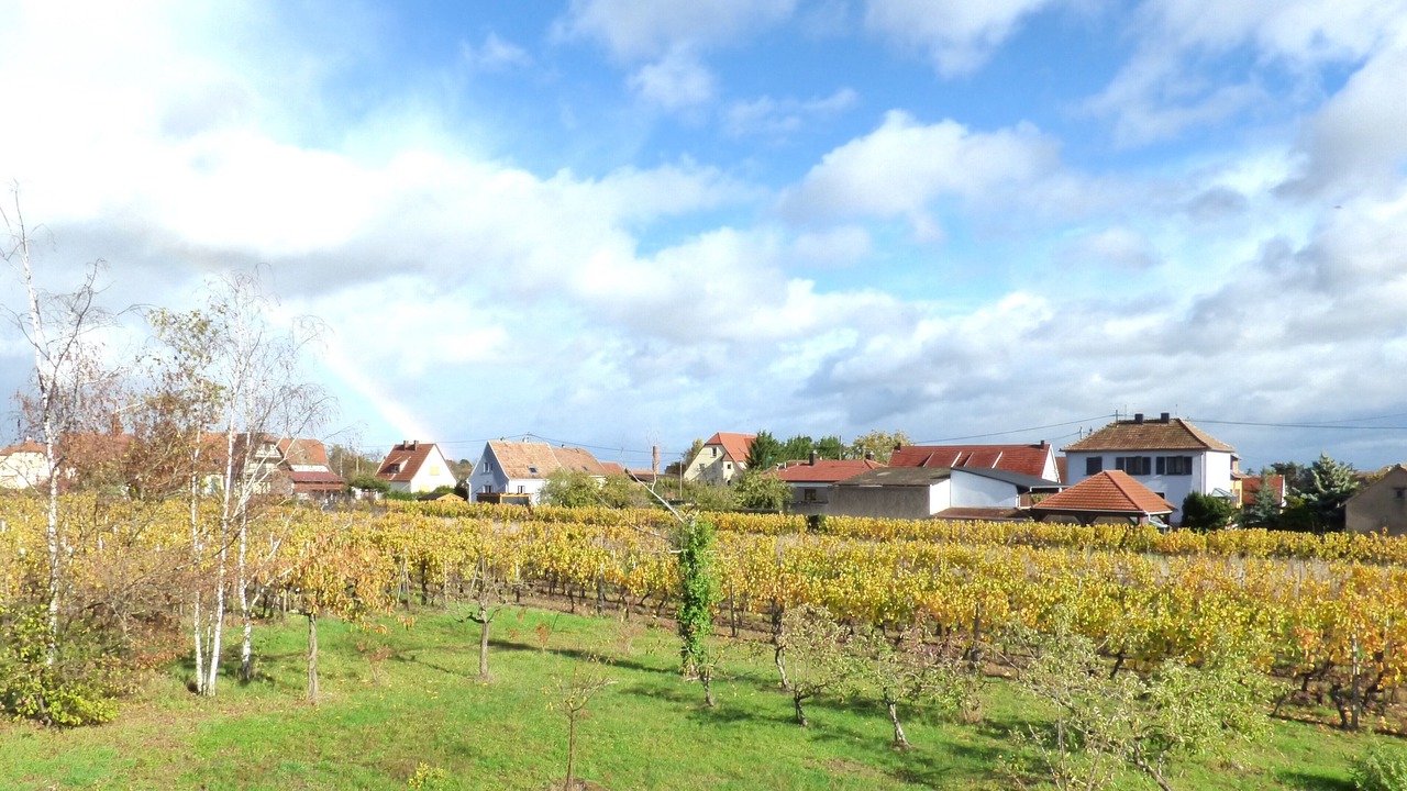 Photo of Outdoor in Scherwiller