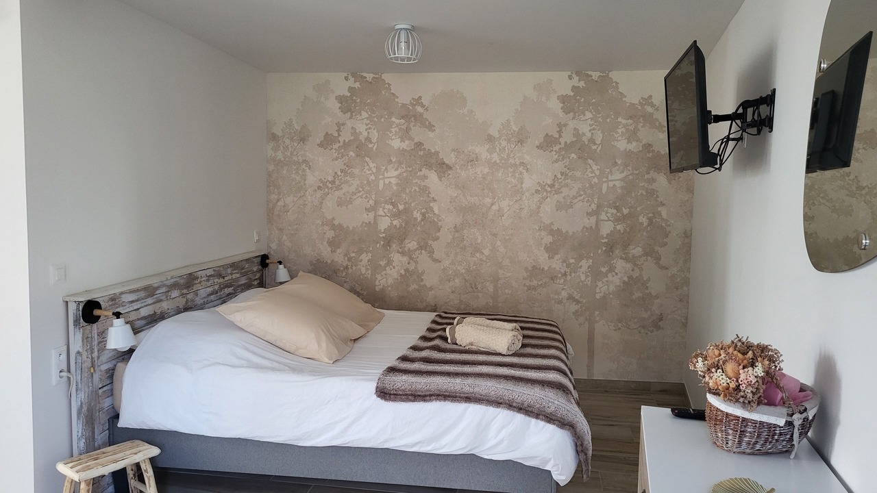 Photo of Bedroom in Theneuil