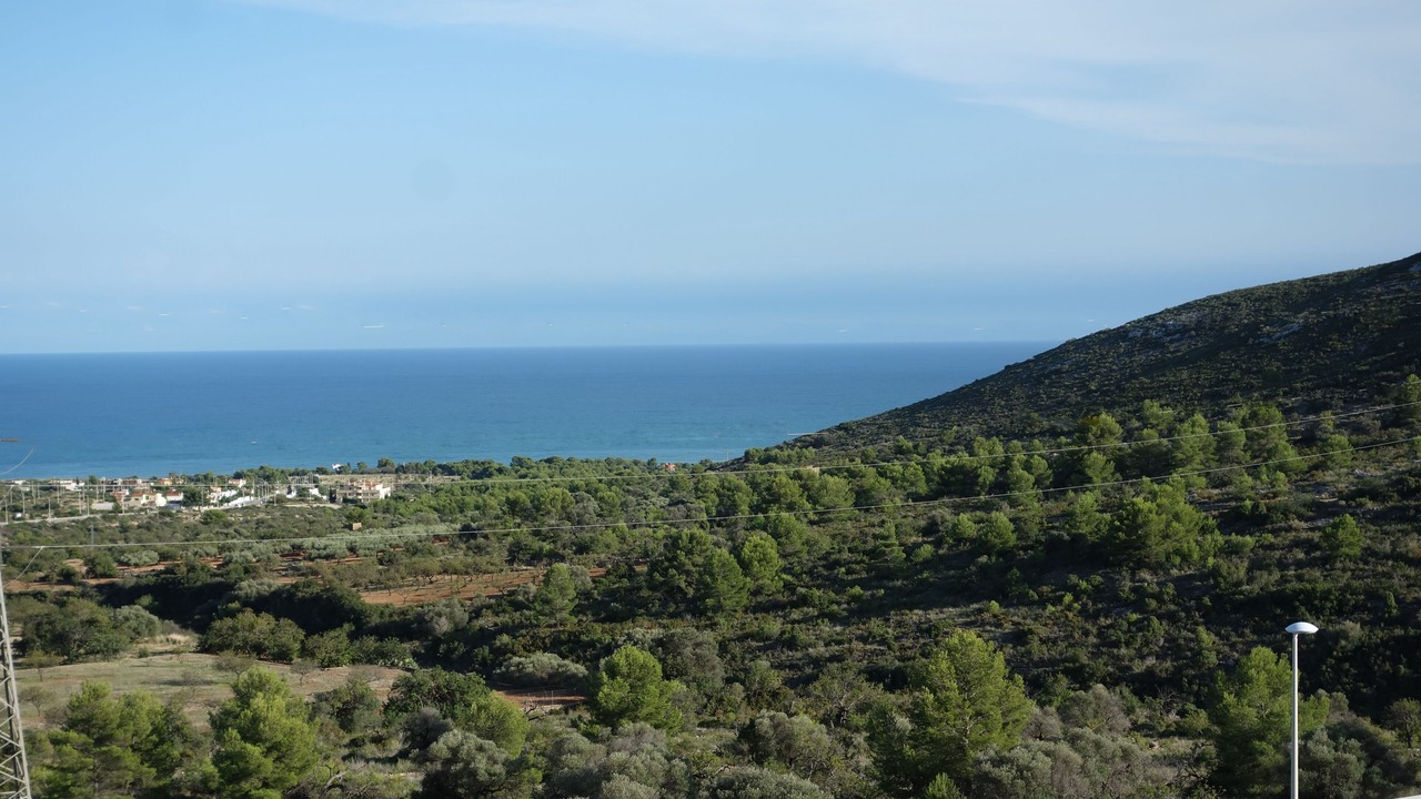 Photo of Others in Peniscola