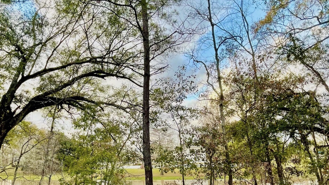 Photo of Outdoor in Lafayette