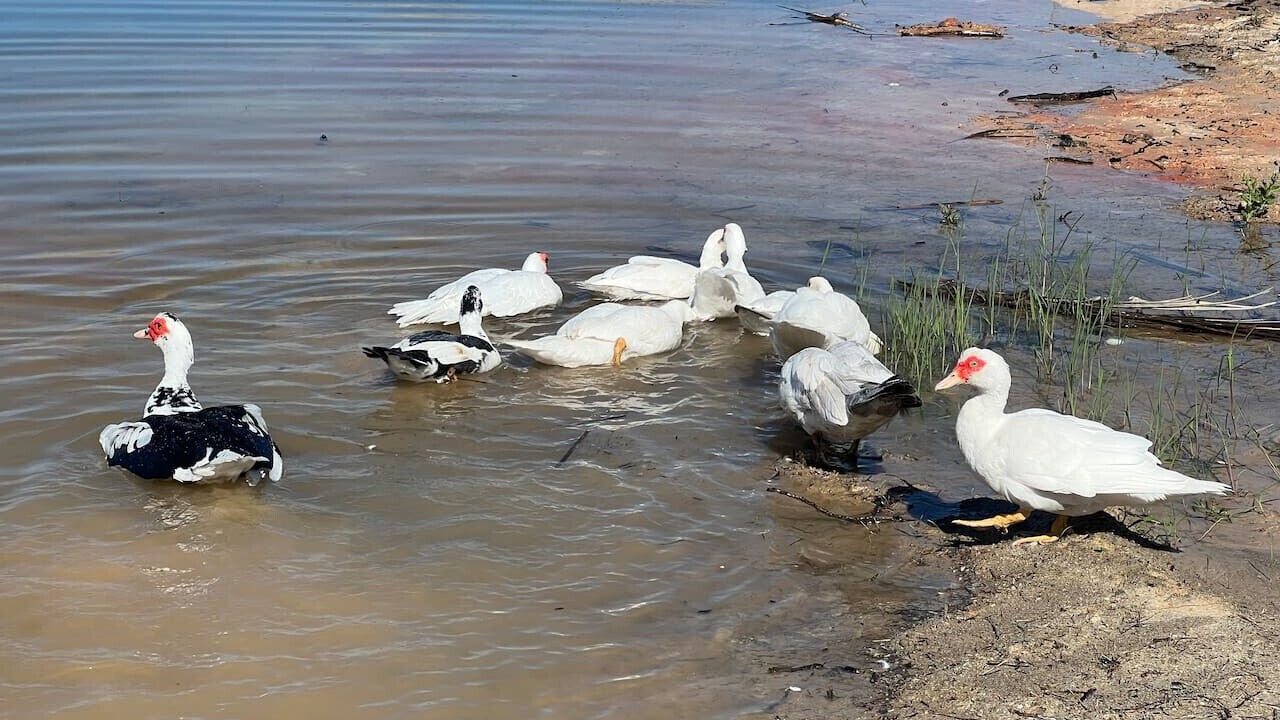 Photo of Others in Von Ormy