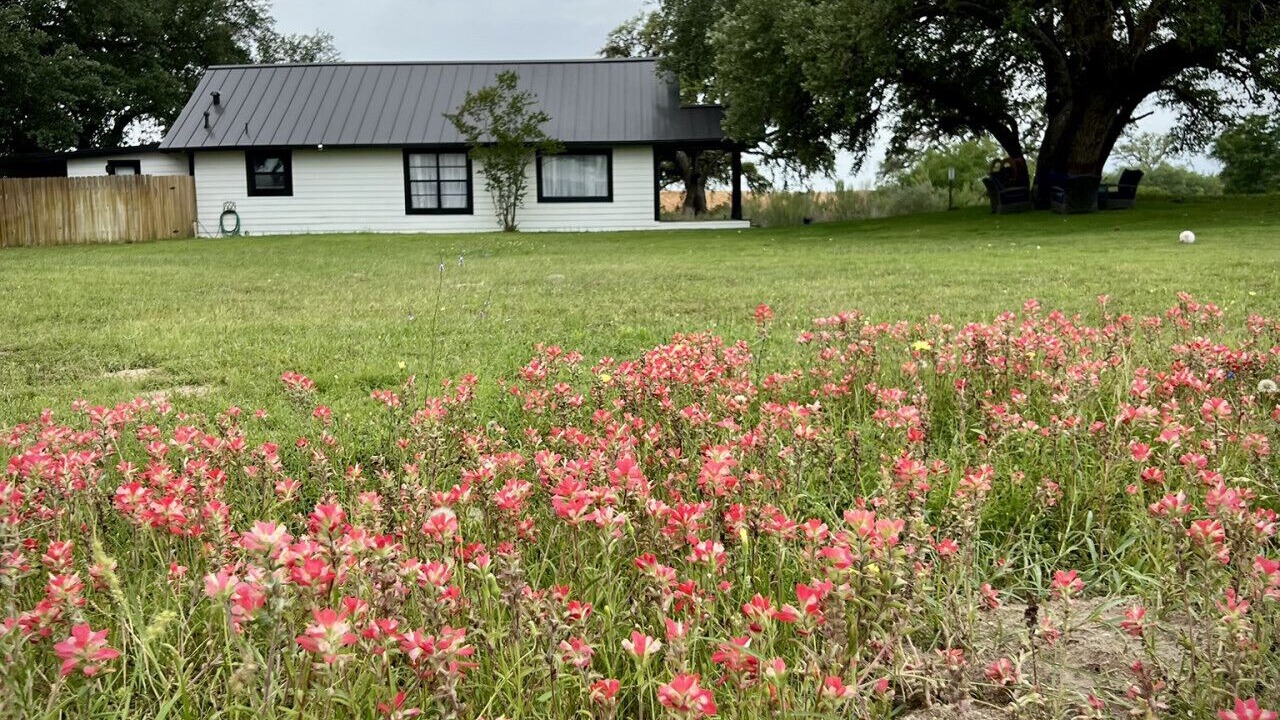 Photo of Outdoor in Von Ormy