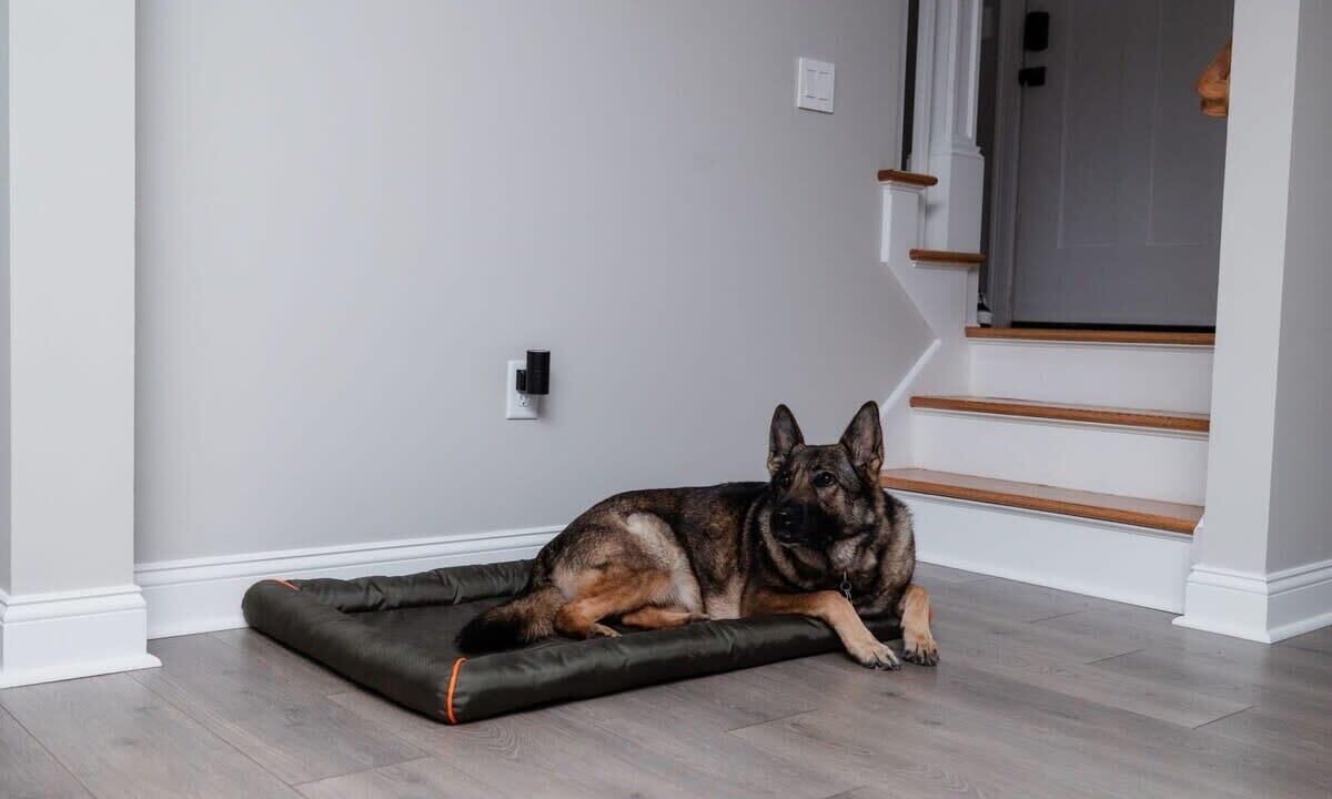 Photo of Others in Westerly