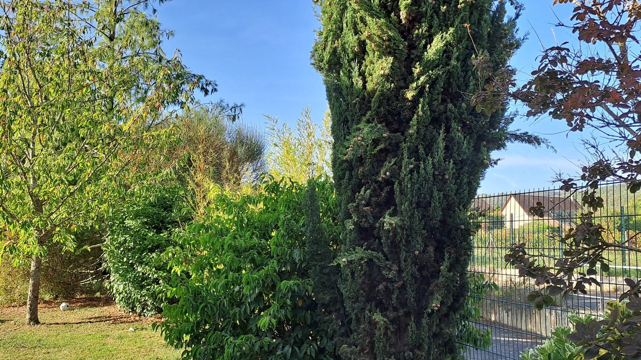 Photo of Outdoor in Marsannay-la-Cote