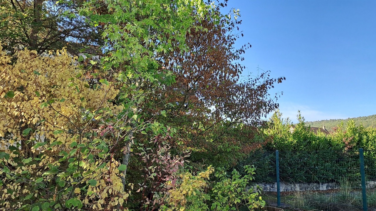 Photo of Outdoor in Marsannay-la-Cote