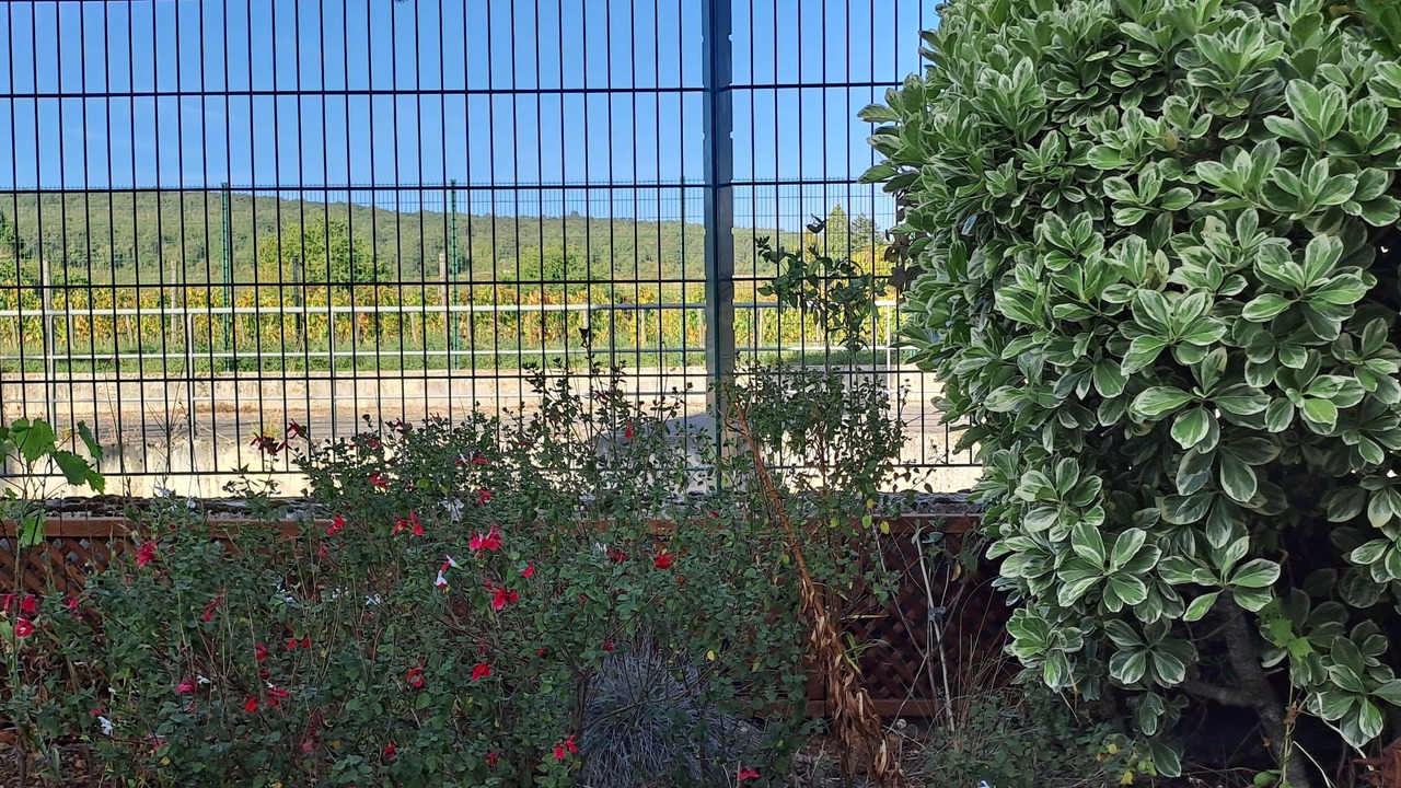 Photo of Outdoor in Marsannay-la-Cote