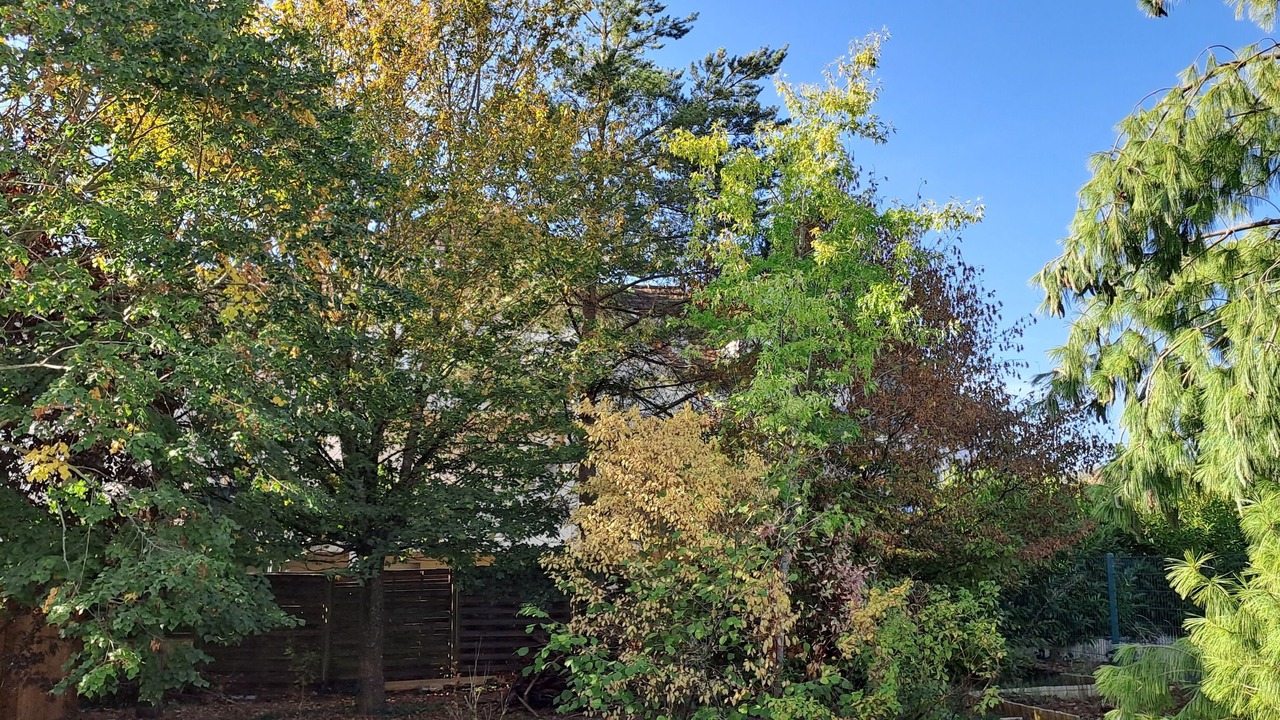 Photo of Outdoor in Marsannay-la-Cote