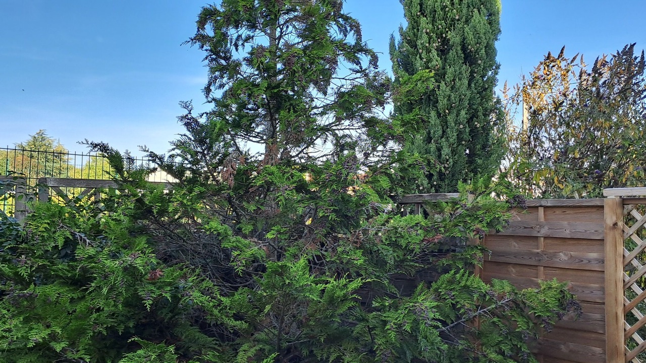 Photo of Outdoor in Marsannay-la-Cote