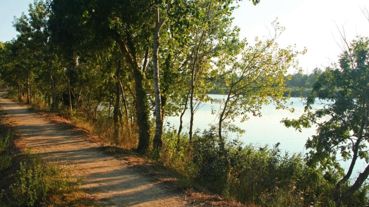 Photo of Others in Bon Relax
