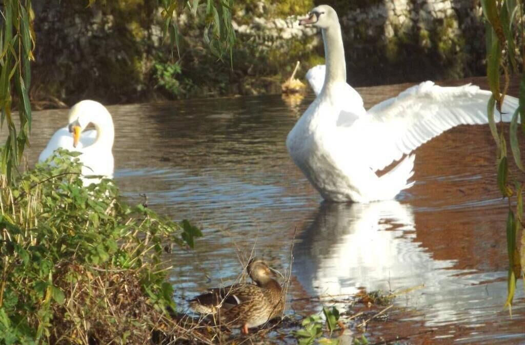 Photo of Outdoor in Ashford-in-the-Water
