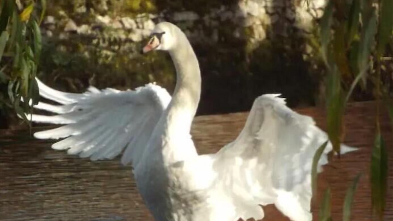 Photo of Others in Ashford-in-the-Water