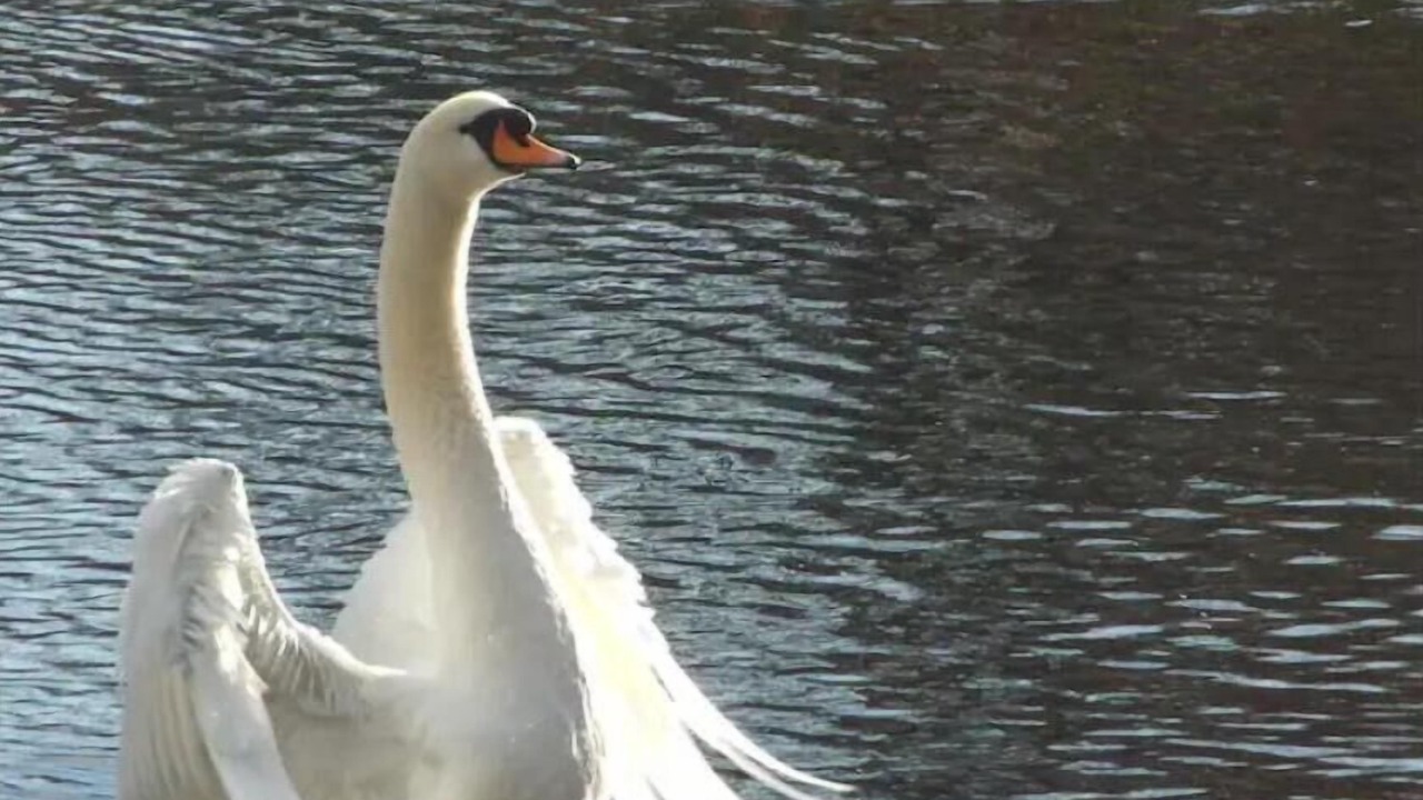 Photo of Others in Ashford-in-the-Water