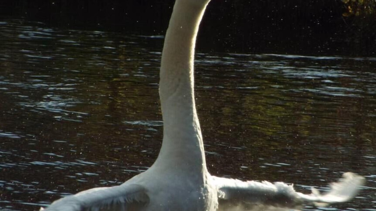 Photo of Others in Ashford-in-the-Water