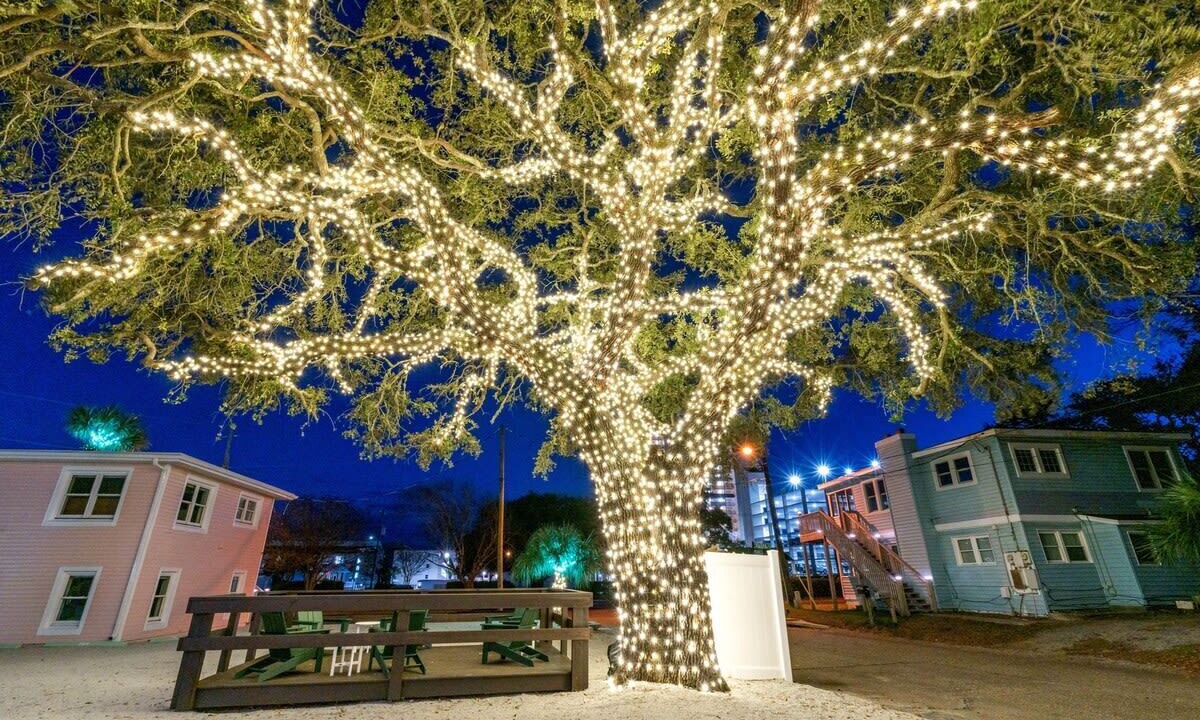 Photo of Outdoor in Windy Hill