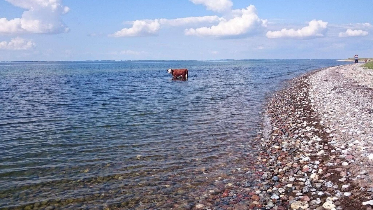 Photo of Others in Nakskov