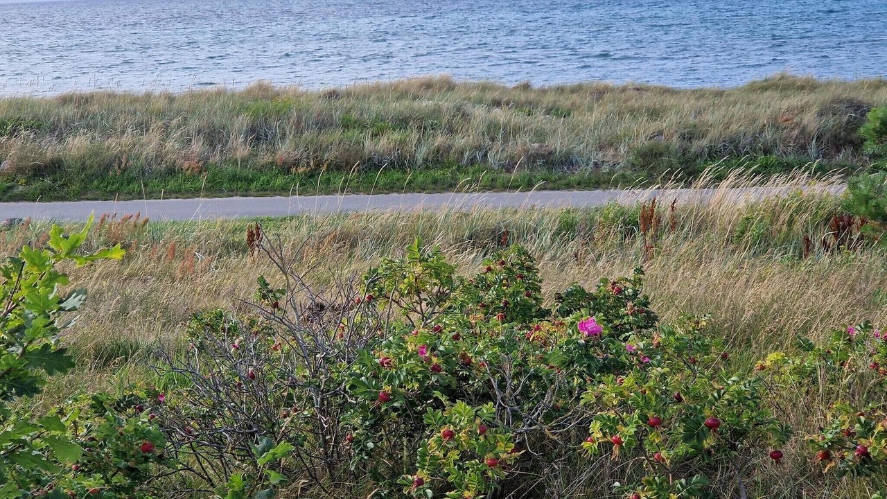 Photo of Others in Fjellerup Strand