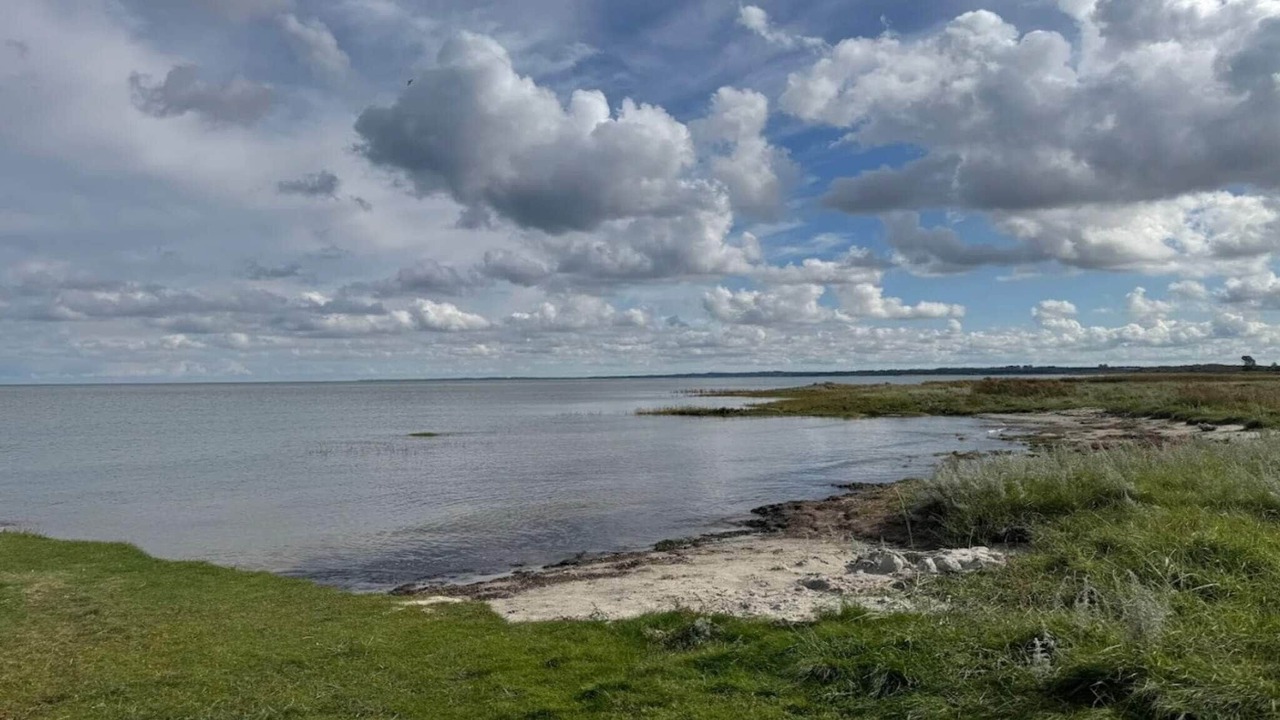 Photo of Others in Ørsted