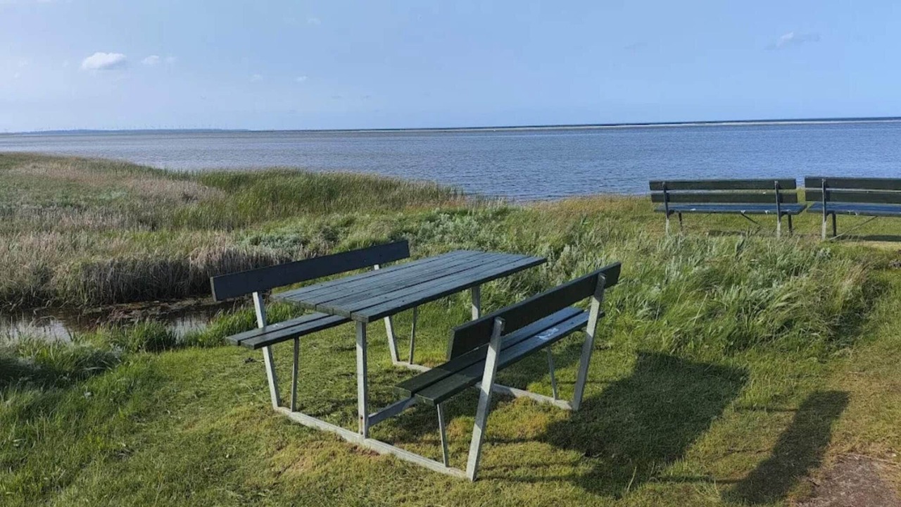 Photo of Others in Ørsted