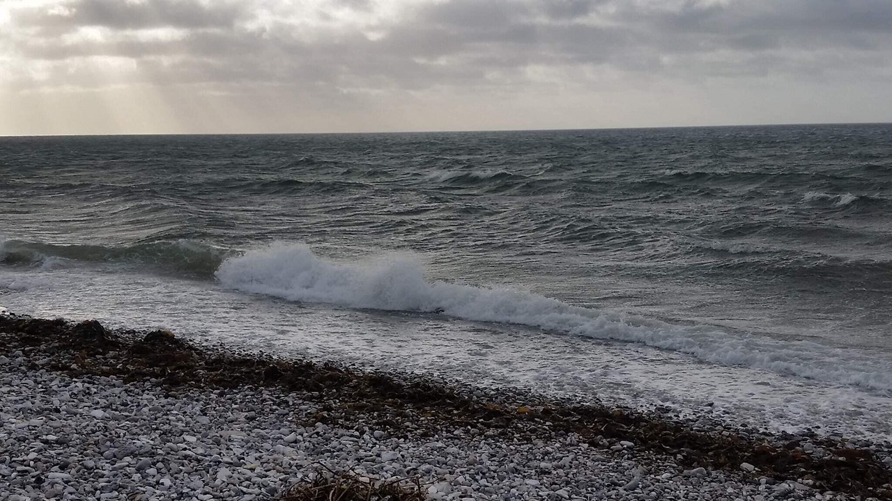 Photo of Others in Øer Strand