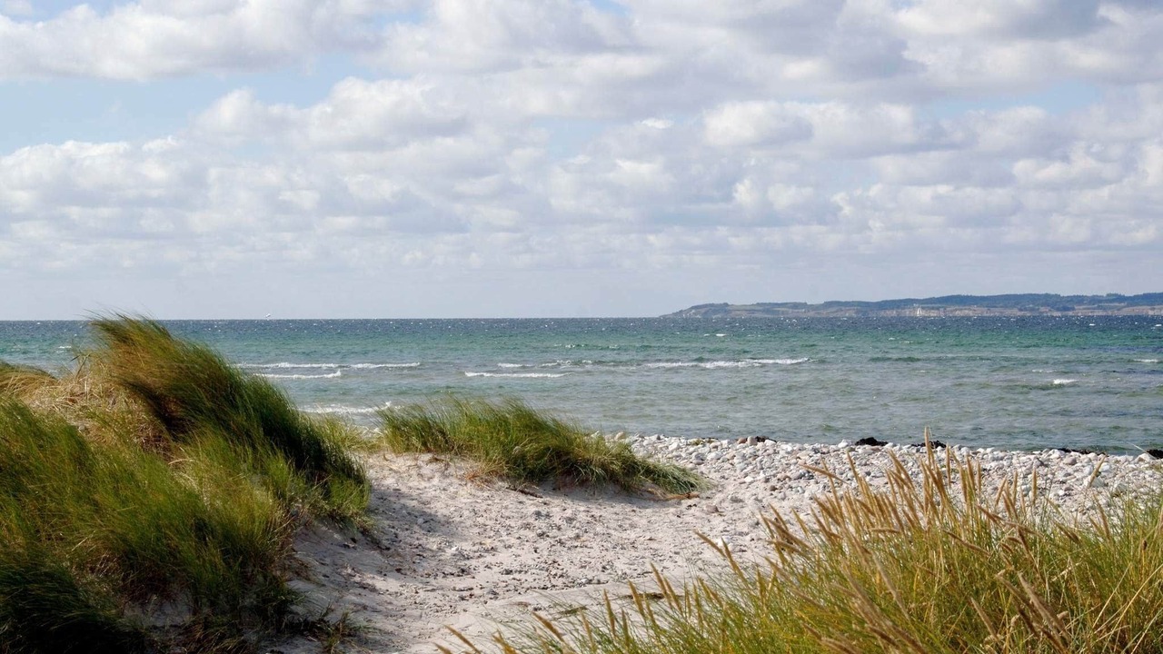 Photo of Others in Øer Strand