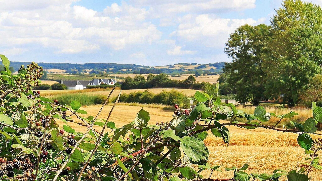 Photo of Outdoor in Faaborg