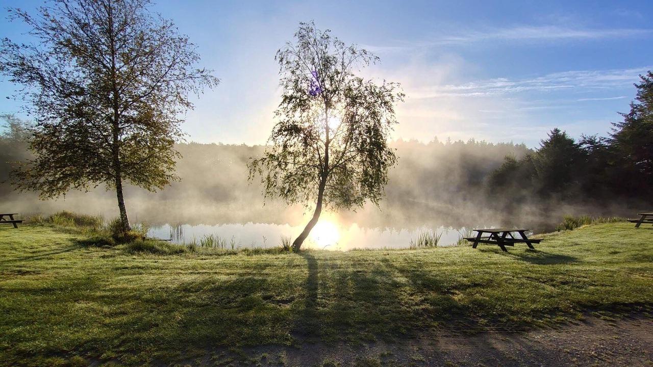 Photo of Others in Arrild Ferieby