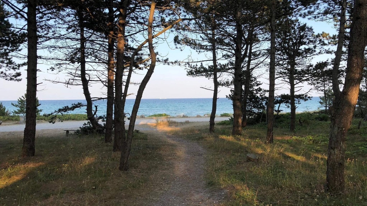 Photo of Others in Lyngsbæk Strand