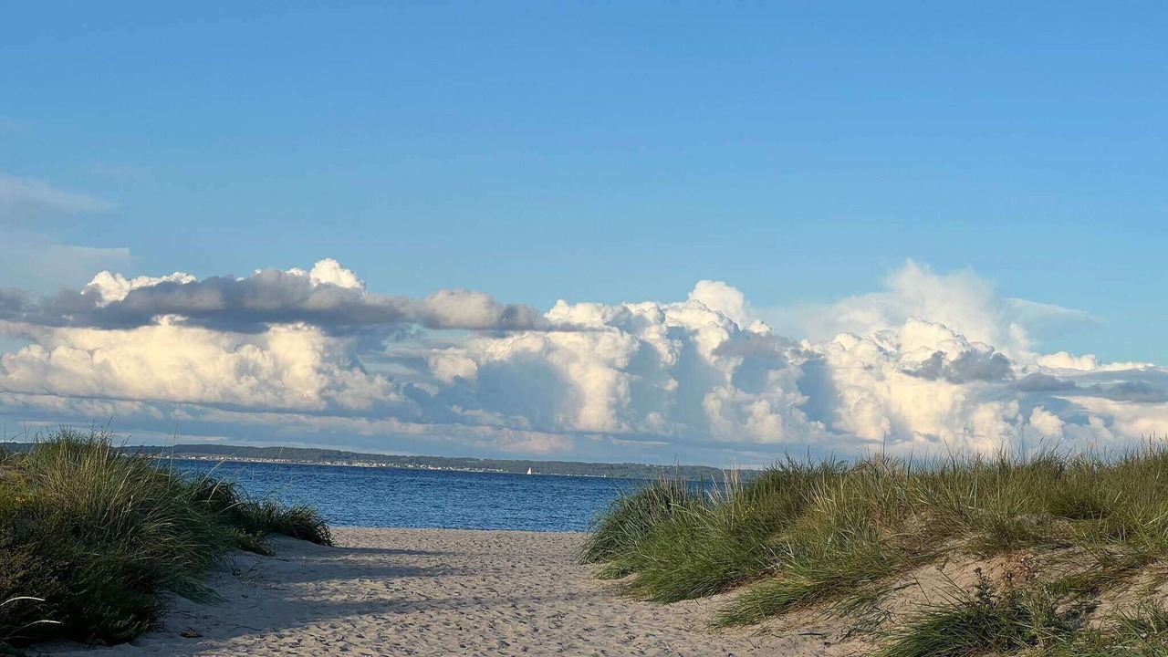 Photo of Others in Hornbaek