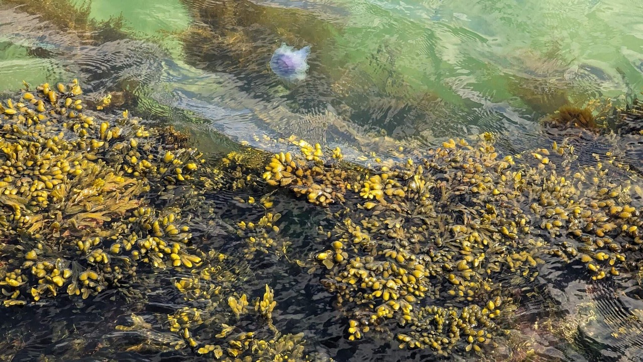 Photo of Others in Nordstrand