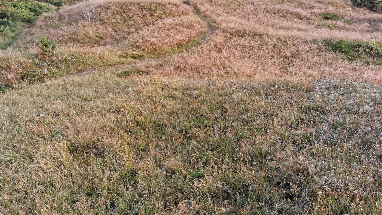 Photo of Others in Nordstrand