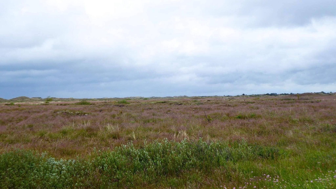 Photo of Others in Nordstrand