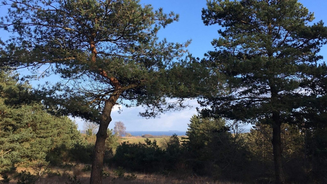 Photo of Others in Vejby