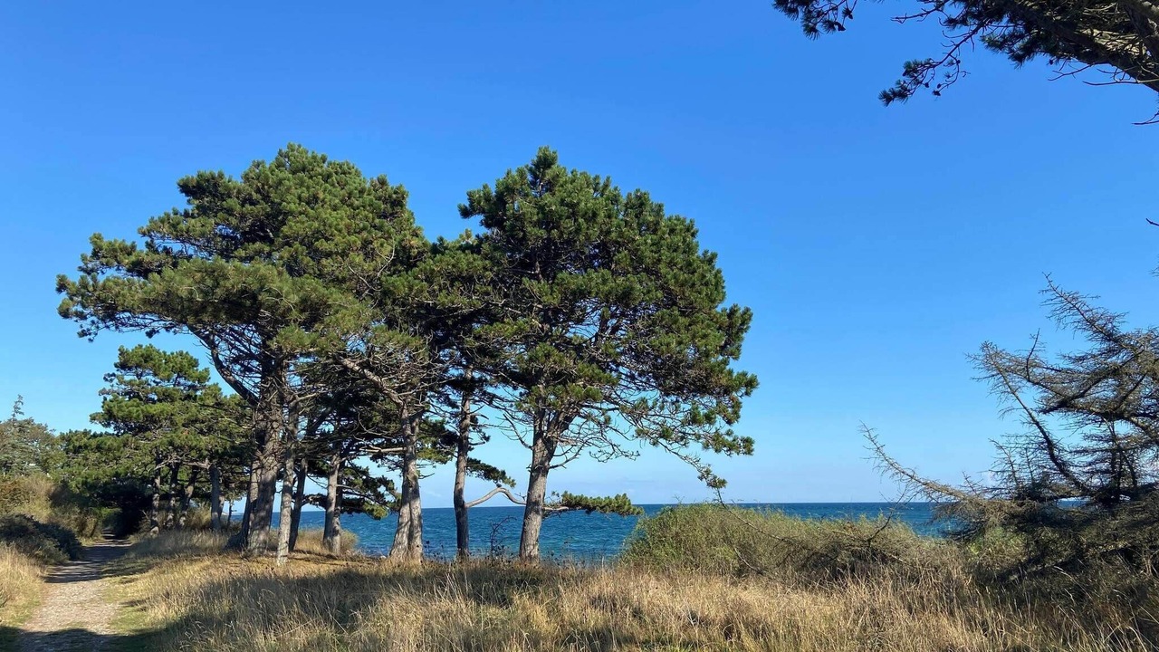 Photo of Others in Vejby