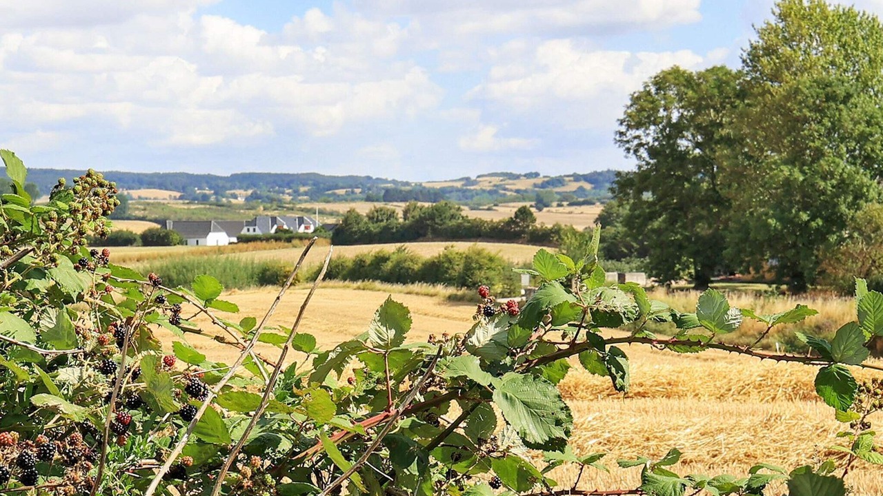 Photo of Others in Faaborg