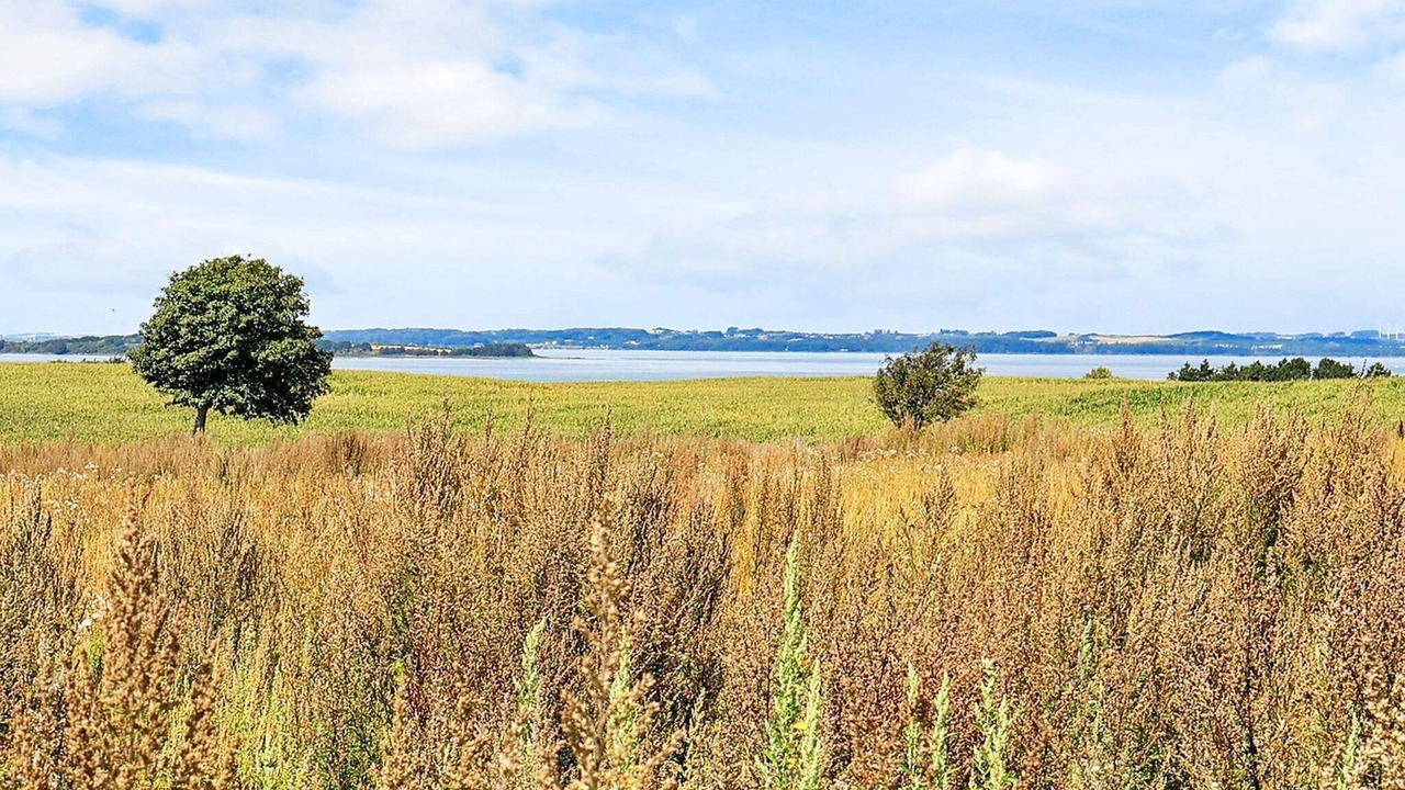 Photo of Outdoor in Faaborg
