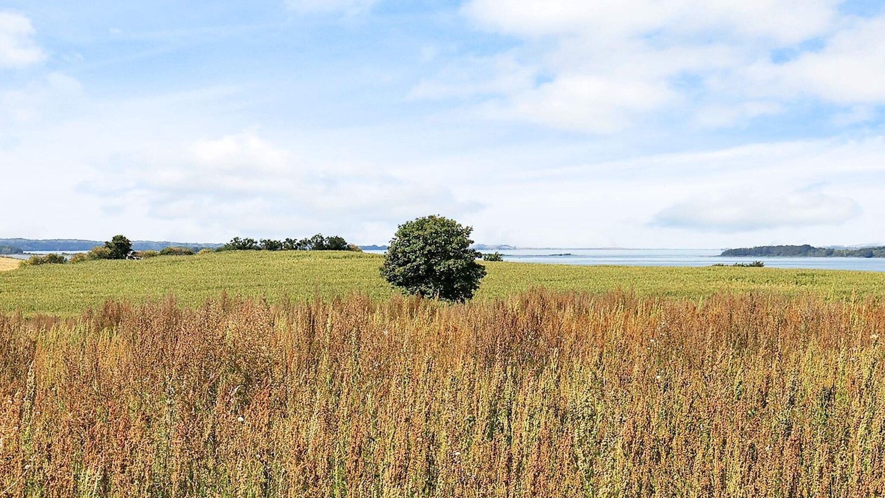 Photo of Outdoor in Faaborg