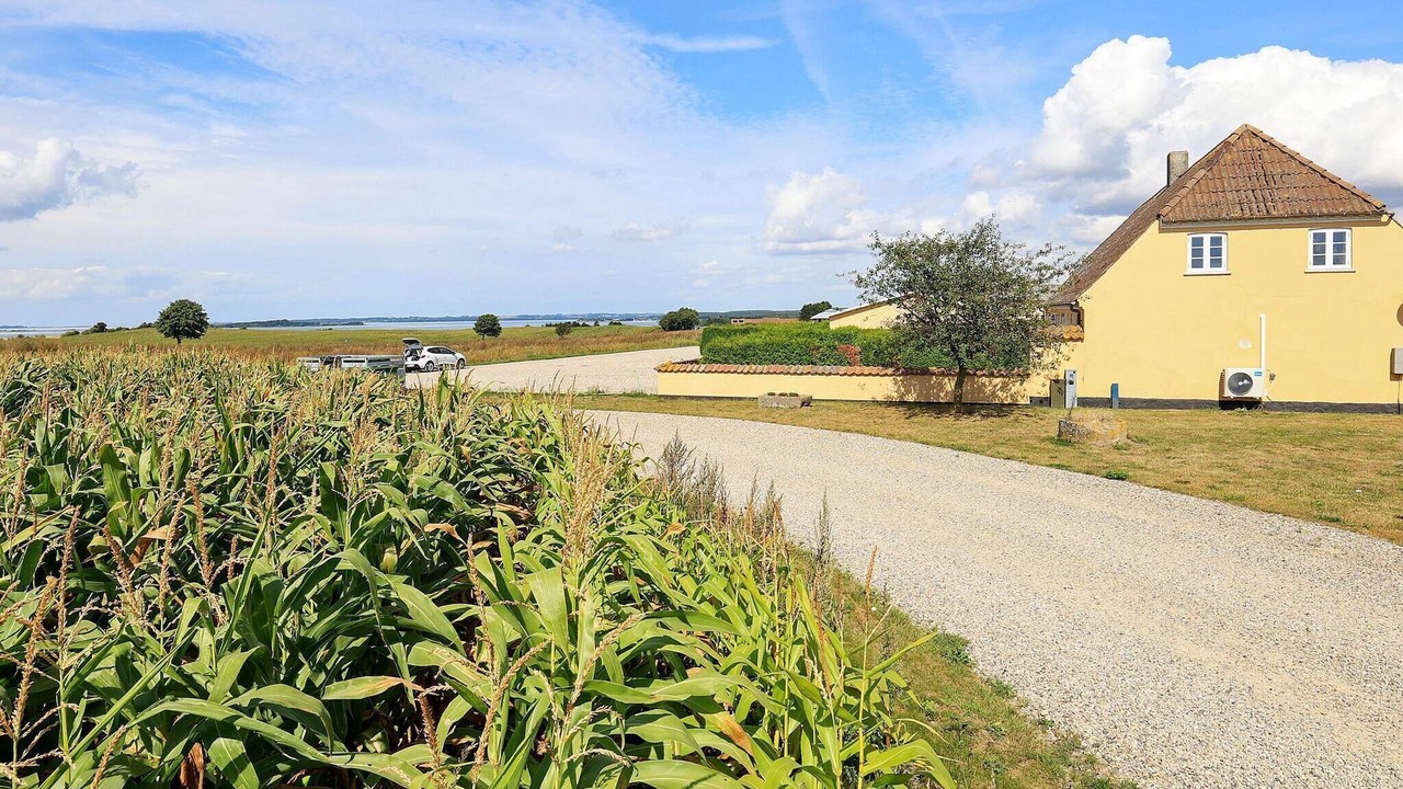 Photo of Outdoor in Faaborg