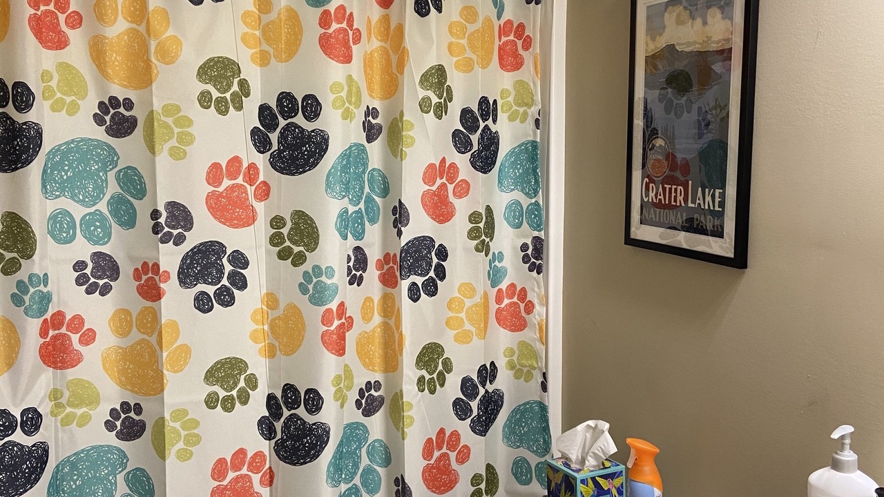 Photo of Bathroom in Newland