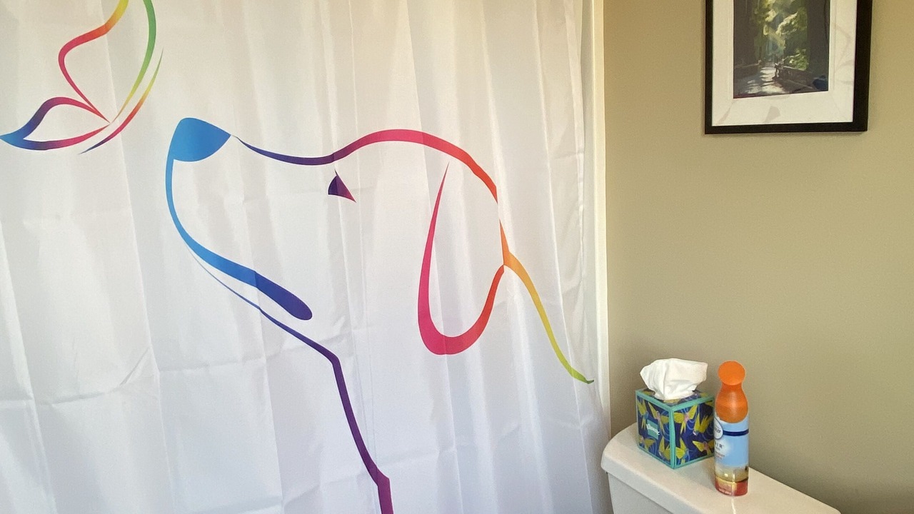 Photo of Bathroom in Newland