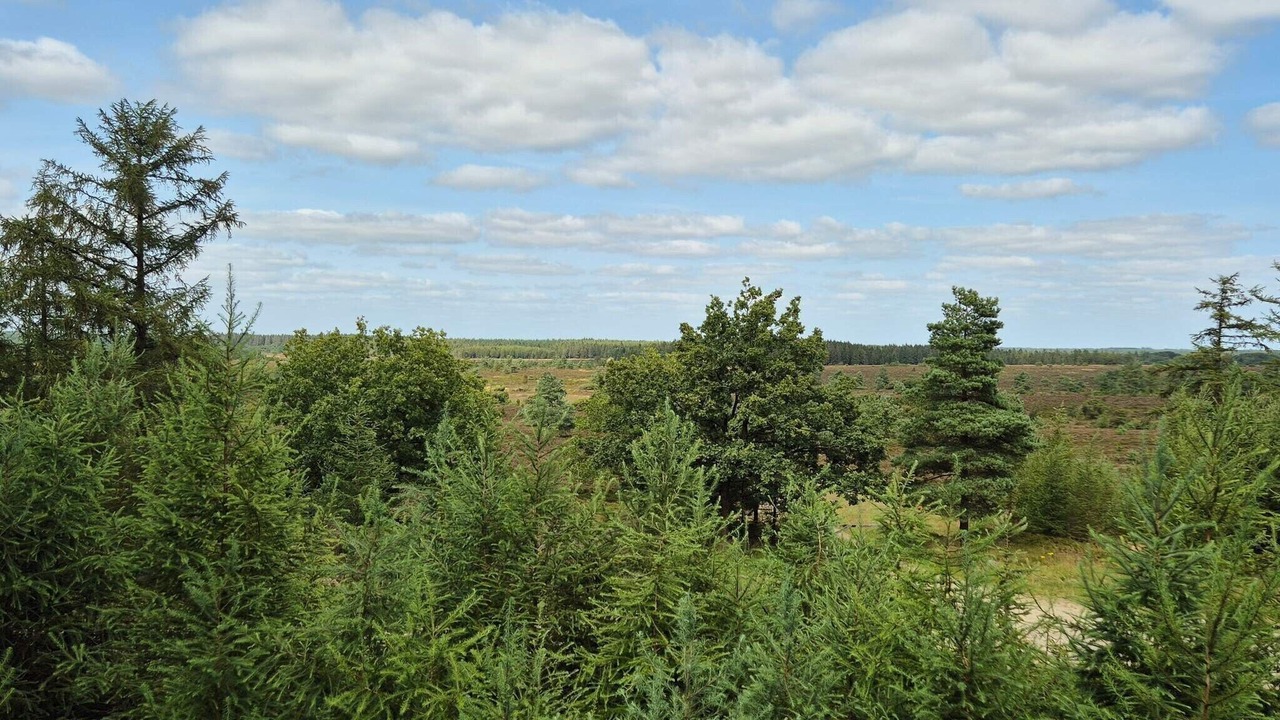 Photo of Others in Janderup