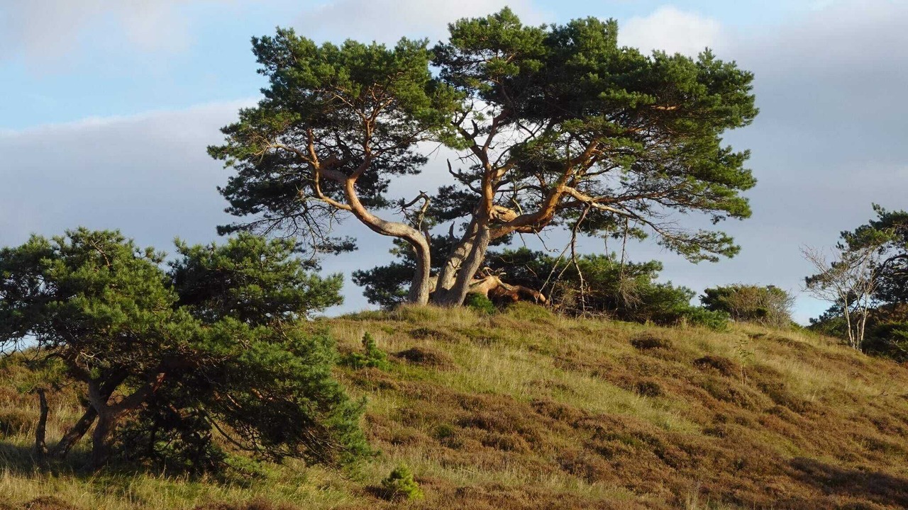 Photo of Outdoor in Vejby