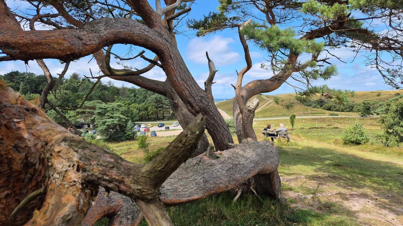 Photo of Outdoor in Vejby