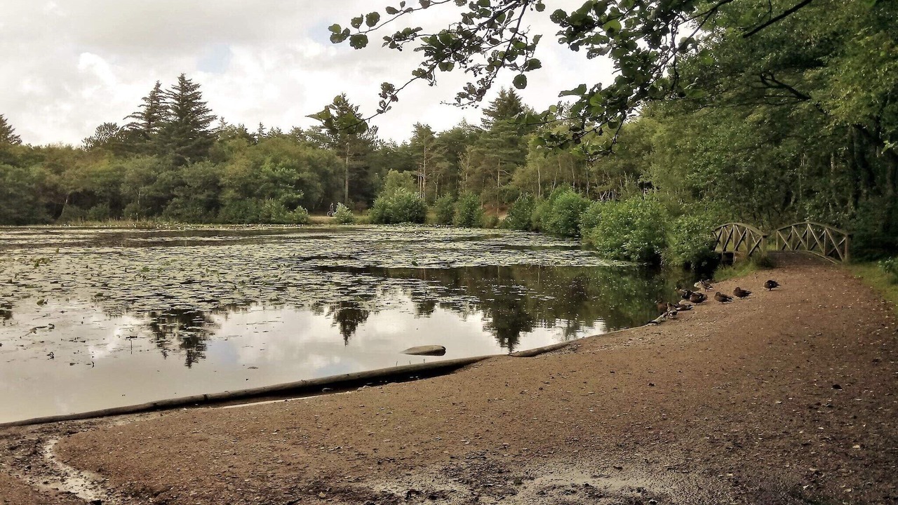 Photo of Outdoor in Bindslev