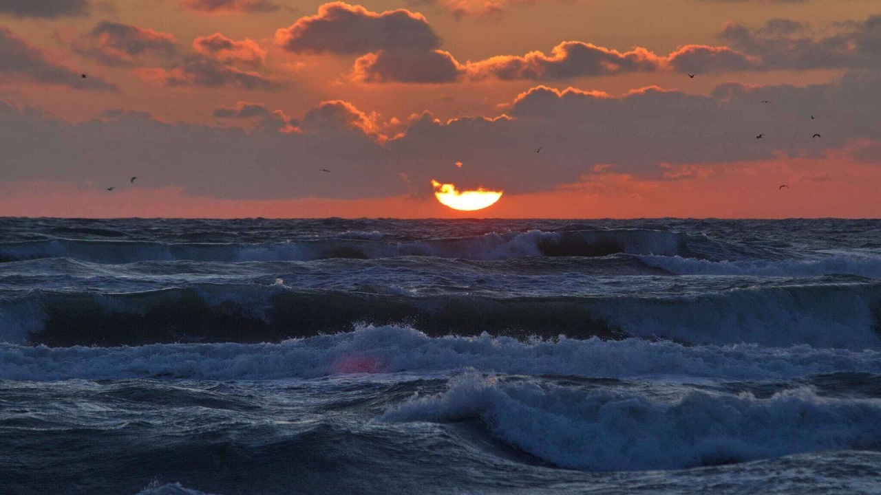 Photo of Others in Hirtshals