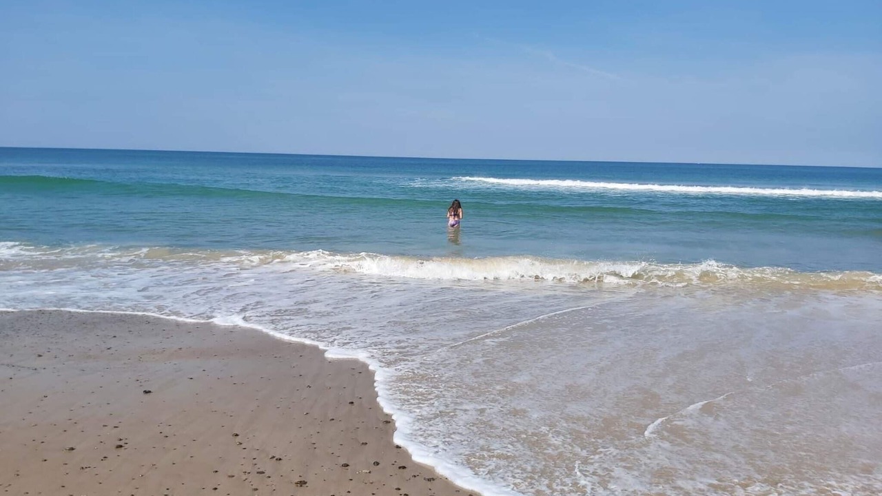 Photo of Others in Hirtshals