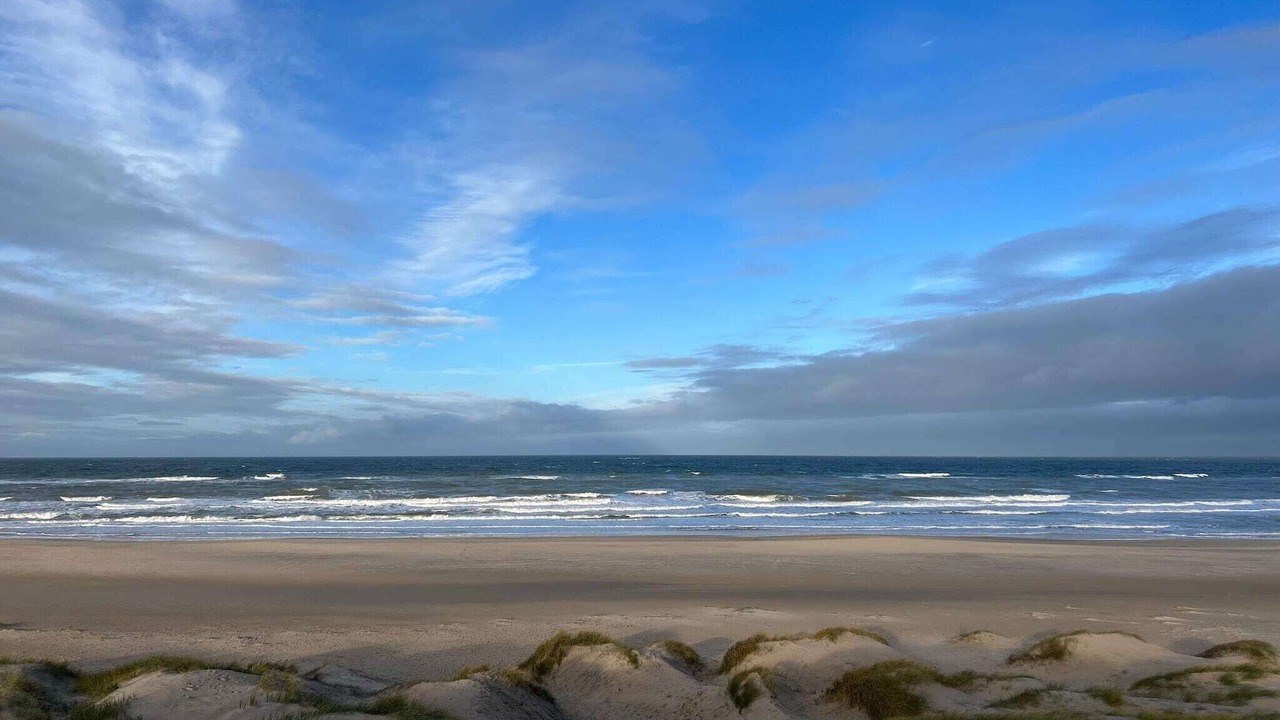 Photo of Others in Hirtshals
