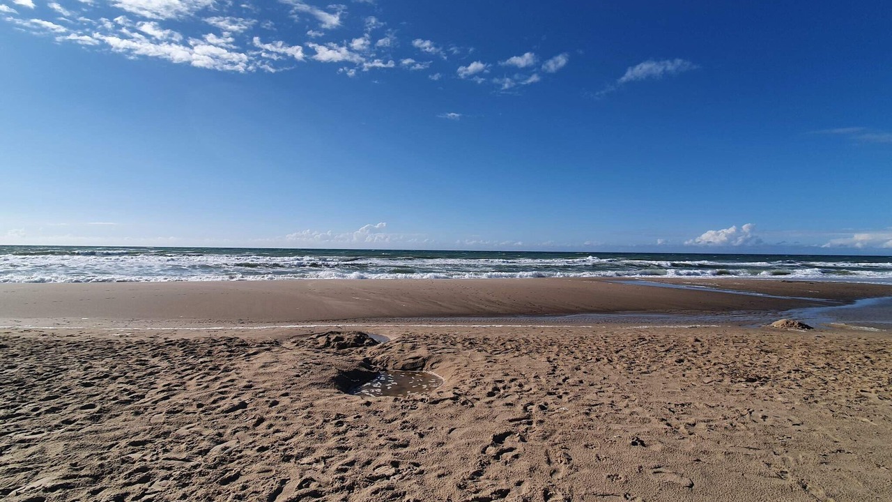 Photo of Others in Hirtshals
